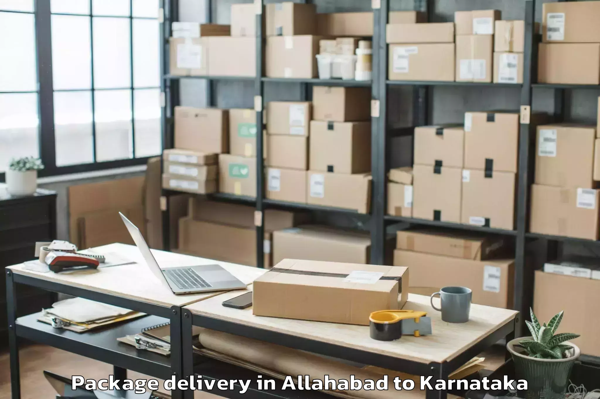 Professional Allahabad to Rani Channamma University Bela Package Delivery